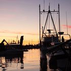 Abendstimmung im Hafen Tofinos