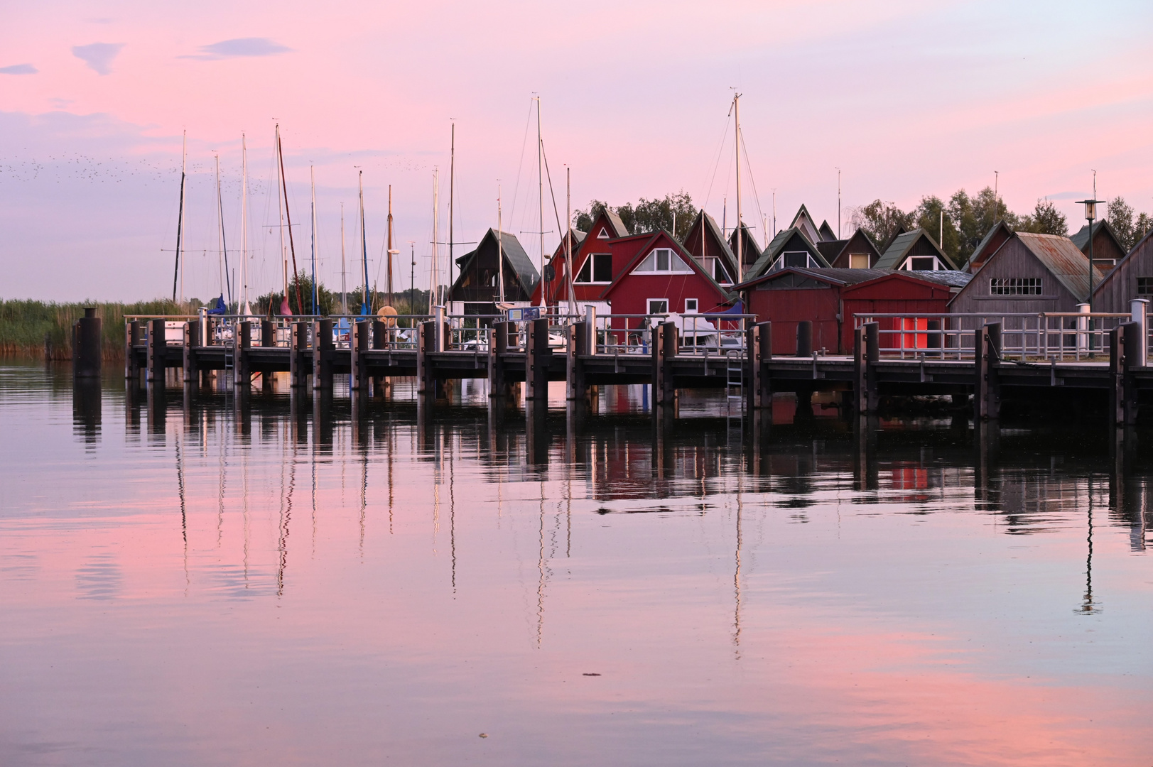 Abendstimmung im Hafen von Althagen /Ahrenshoop 