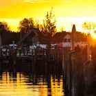 Abendstimmung im Hafen von Zingst