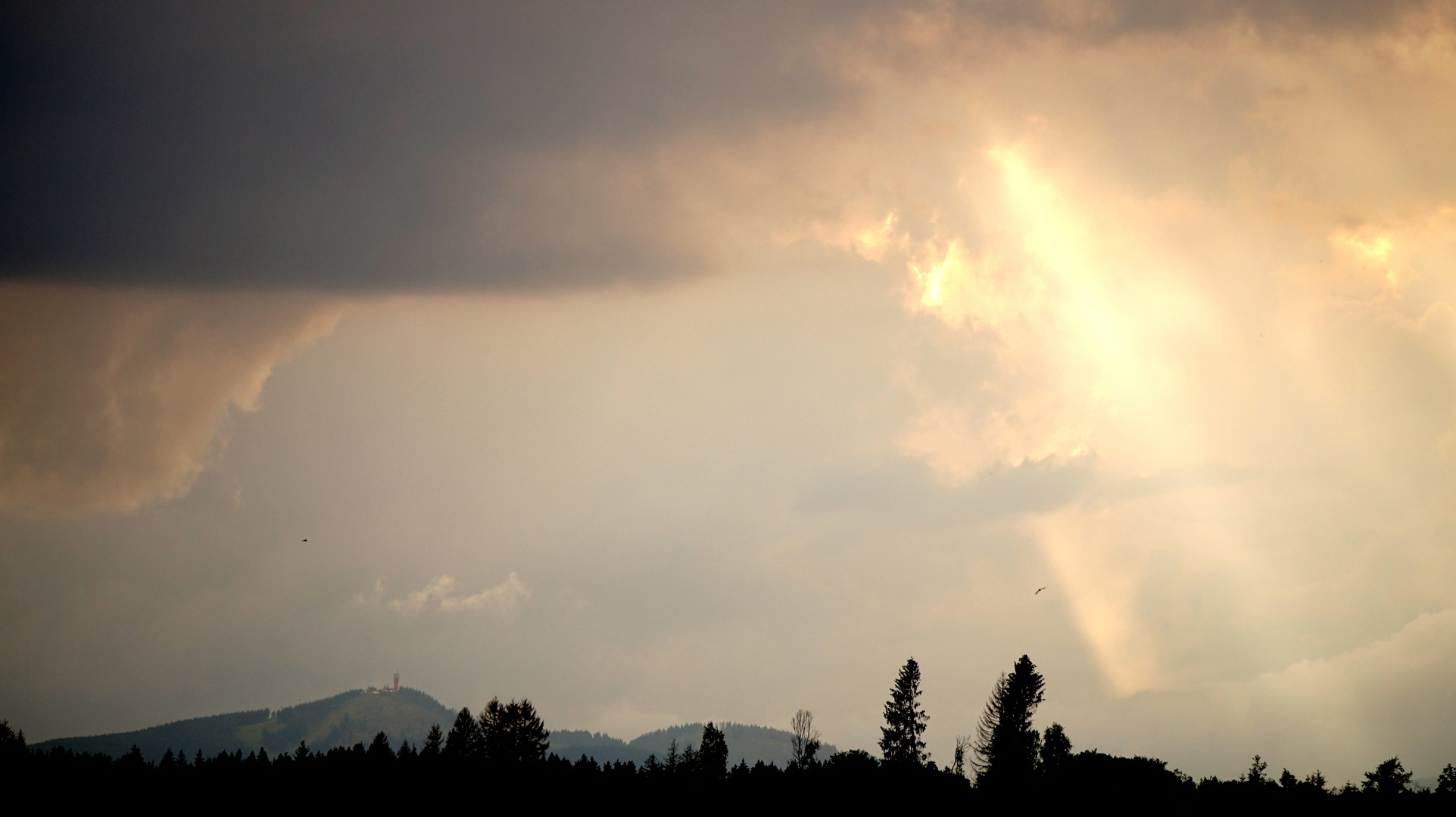 Abendstimmung im Harz