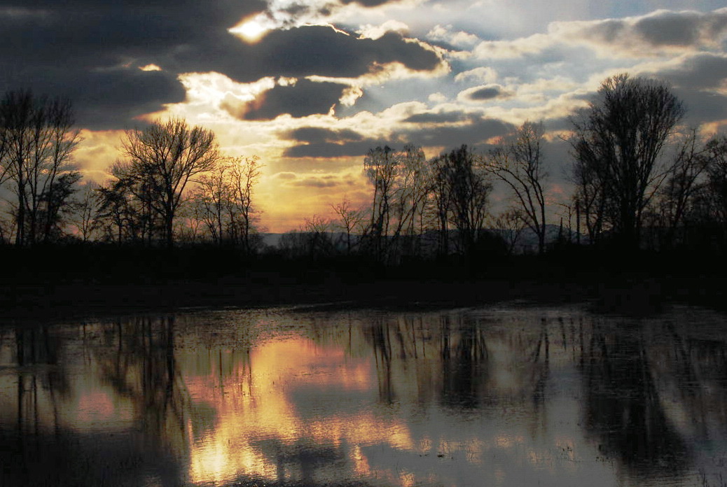 Abendstimmung im Haßlocher Bruch