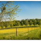 Abendstimmung im Heckengäu