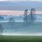 Abendstimmung im Herbst