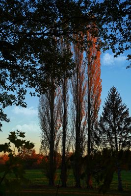 Abendstimmung im Herbst II