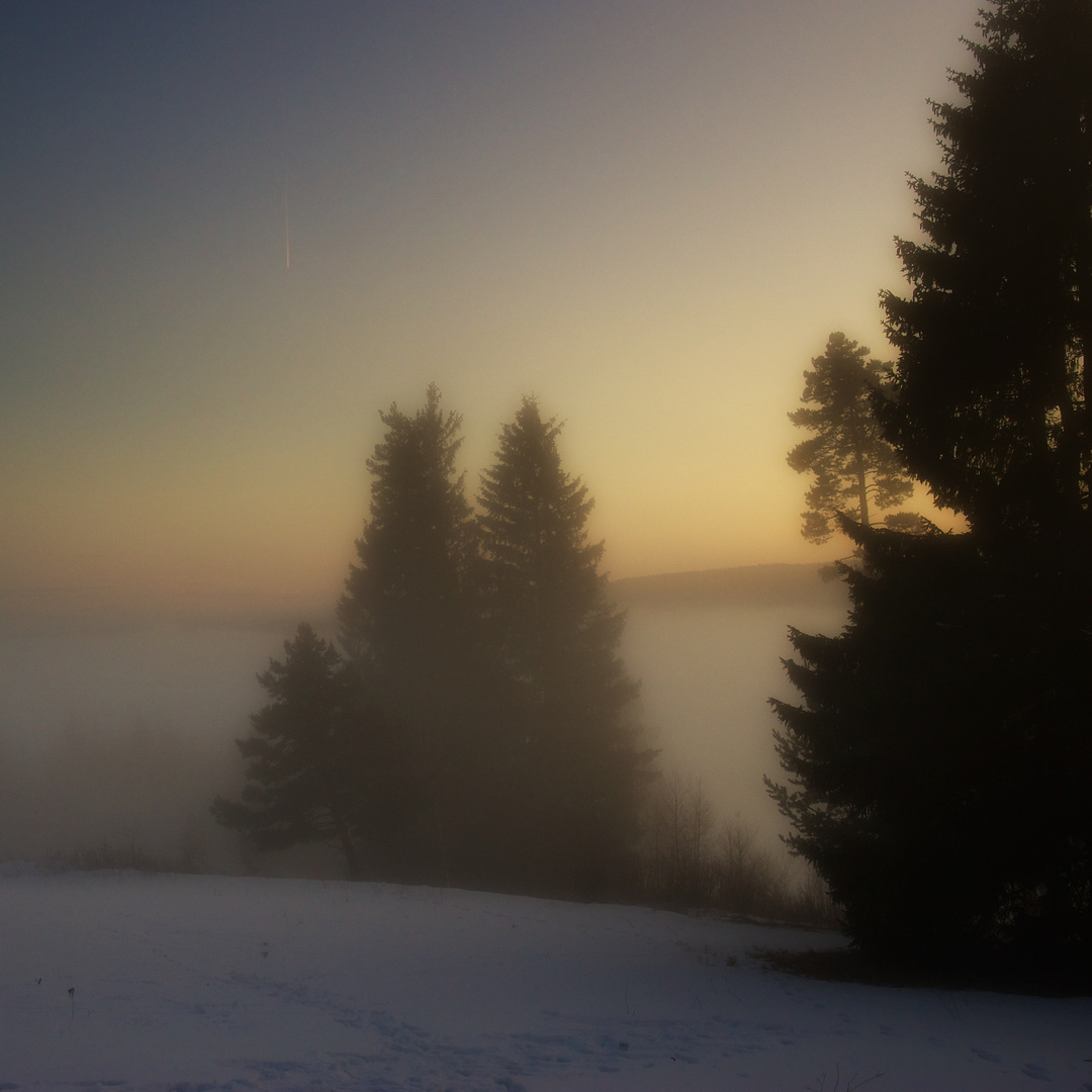 Abendstimmung im Hochschwarzwald