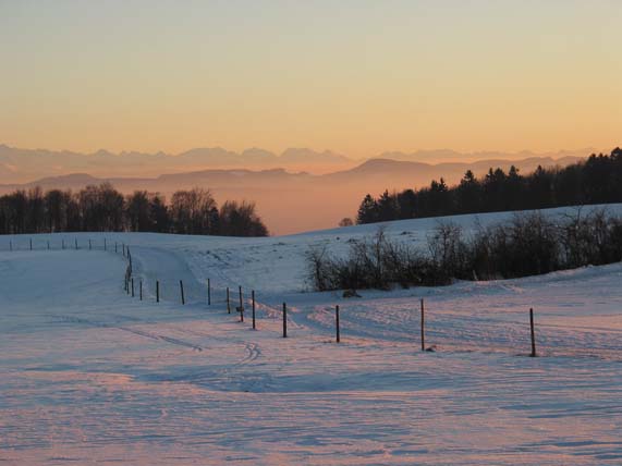 Abendstimmung im Hotzenwald