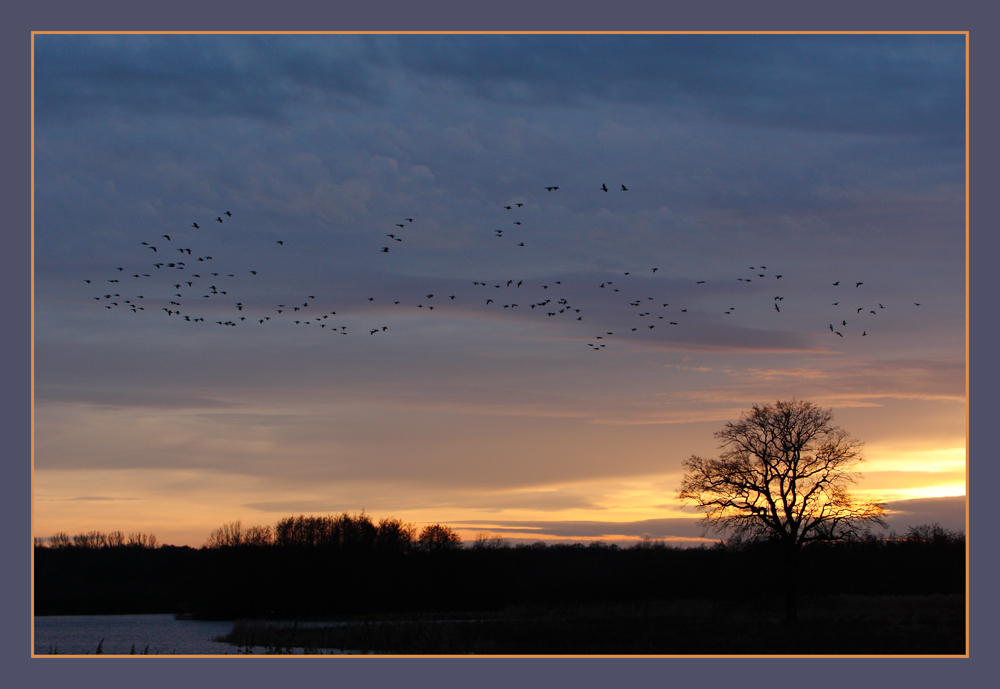 Abendstimmung im Ilkerbruch