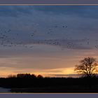 Abendstimmung im Ilkerbruch