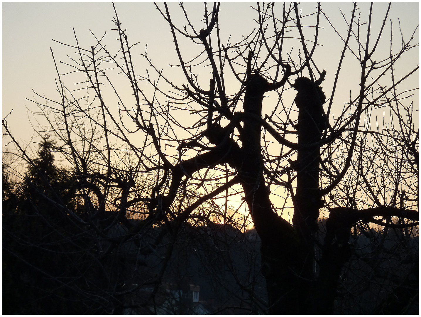 Abendstimmung im Jänner