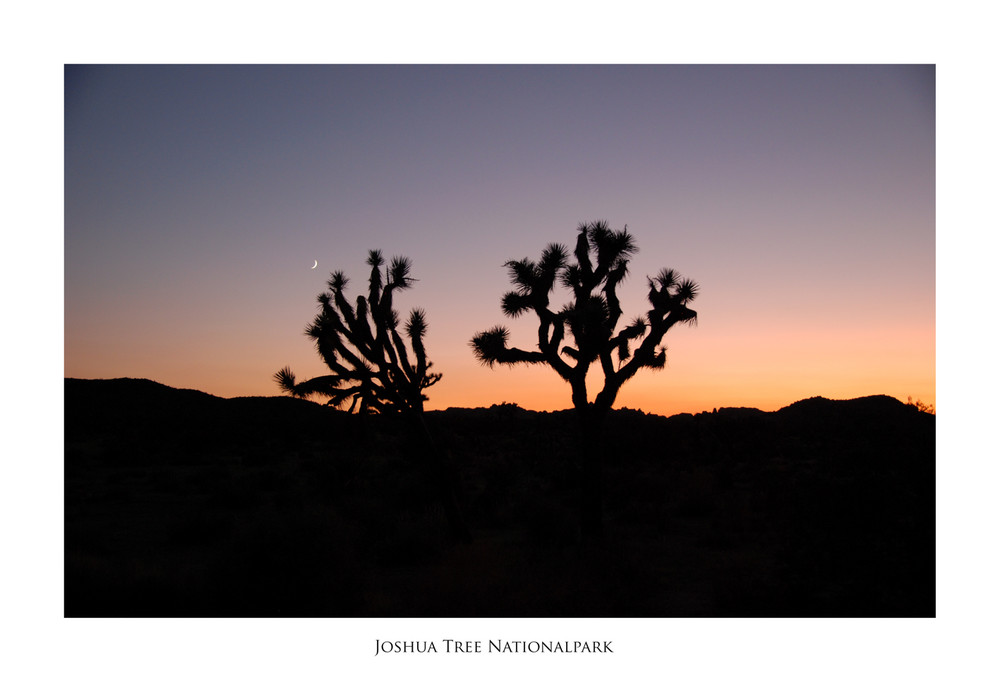 Abendstimmung im Joshua Tree Nationalpark