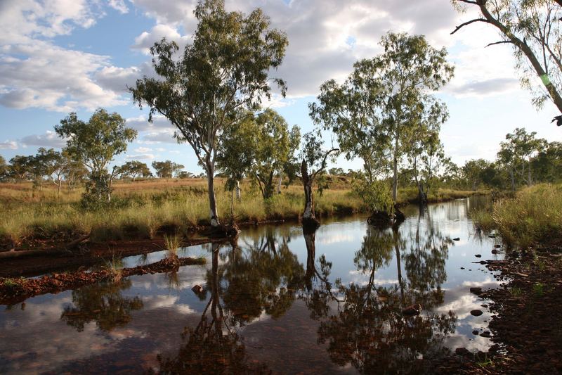 Abendstimmung im Karijini