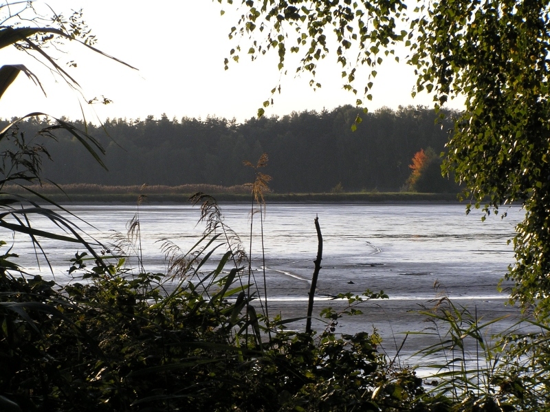 Abendstimmung im Karpfenland