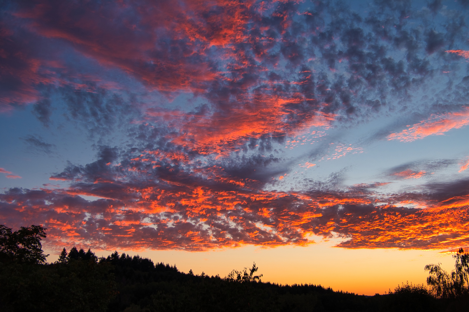 Abendstimmung im Konzer Tälchen 