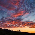 Abendstimmung im Konzer Tälchen 