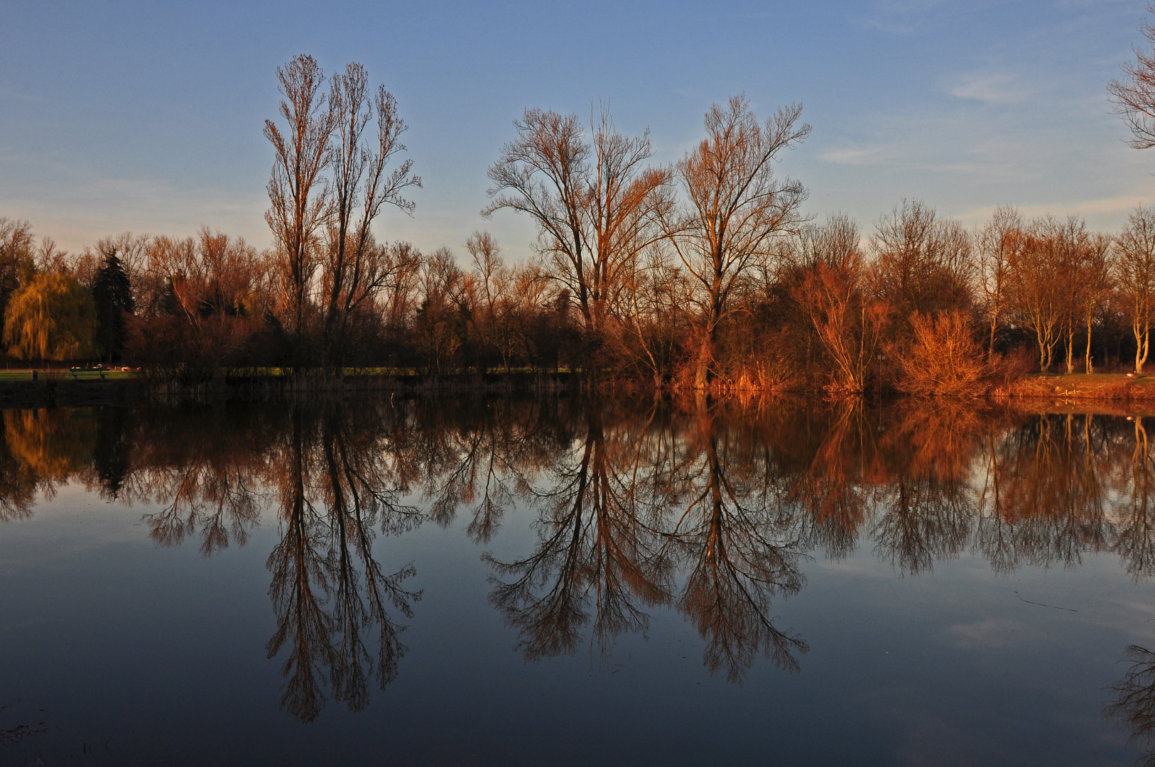 Abendstimmung im Laubenheimer Ried