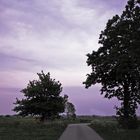 Abendstimmung im Leda-Jümme Gebiet -Ostfriesland