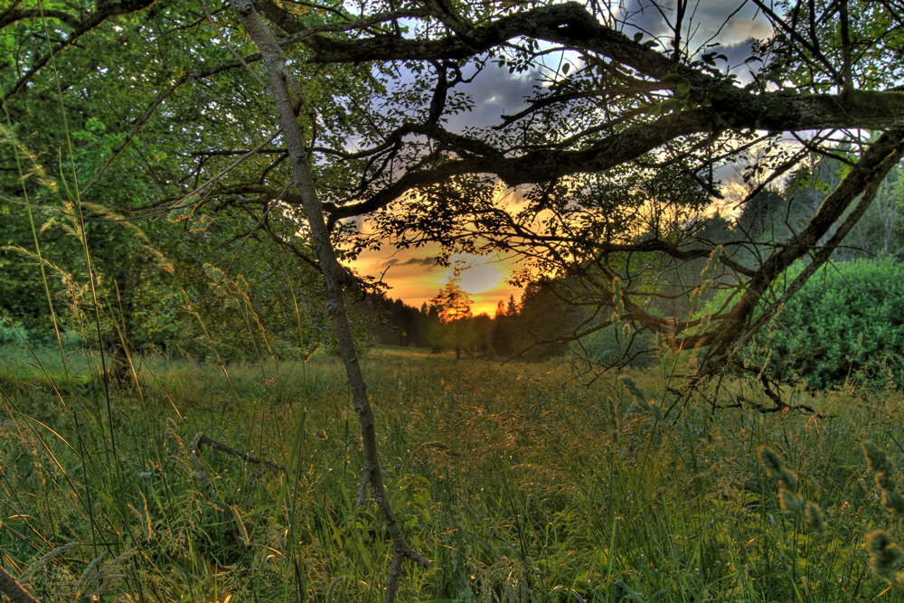 Abendstimmung im Lengenbachtal