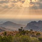 Abendstimmung im Marakele NP, Südafrika