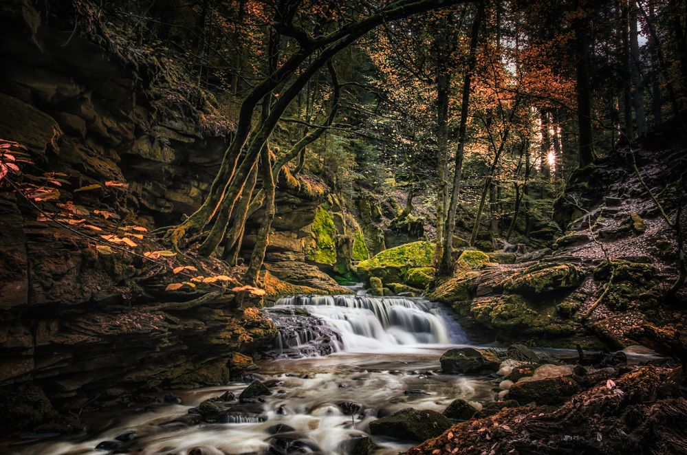 Abendstimmung im Monbachtal 