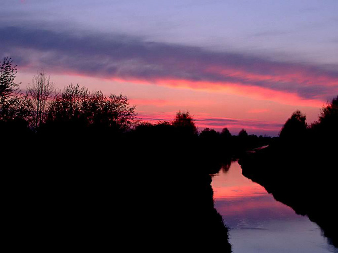 Abendstimmung im Moor