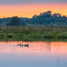 Abendstimmung im Moor