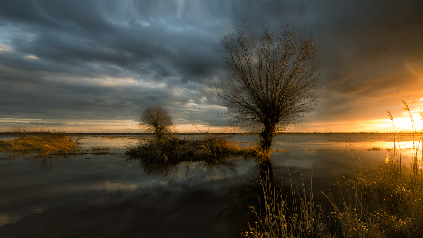 Abendstimmung im Moor