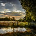 Abendstimmung im Moor