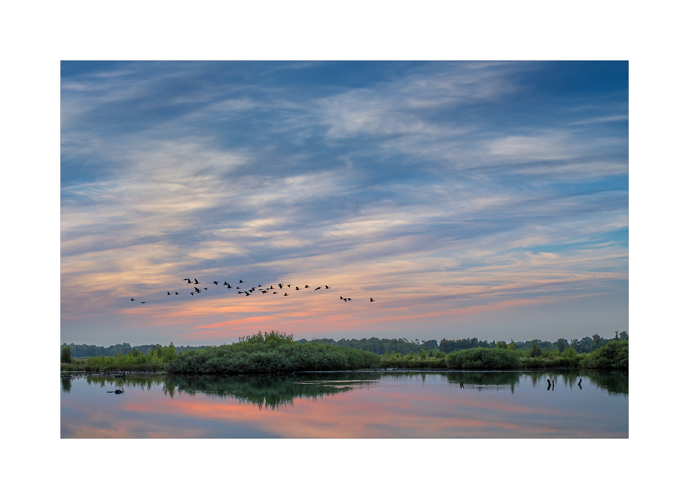 Abendstimmung im Moor