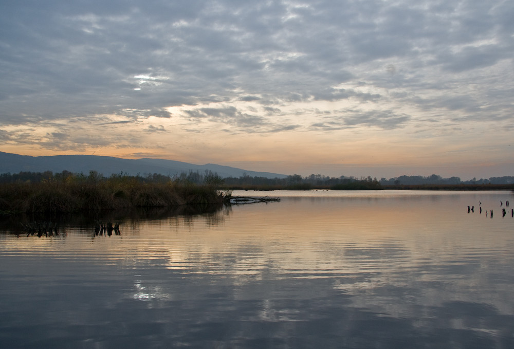 Abendstimmung im Moor