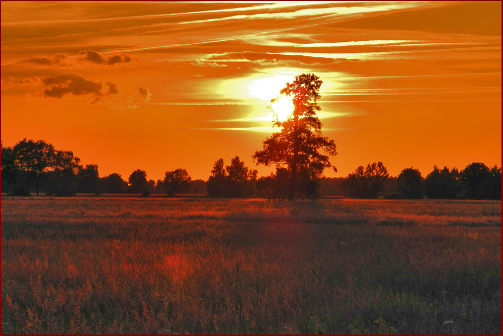 Abendstimmung im Moor