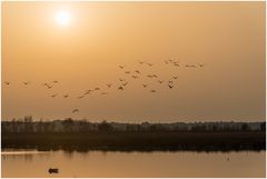 Abendstimmung im Moor