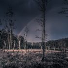 Abendstimmung im Moor nach einem Regenschauer