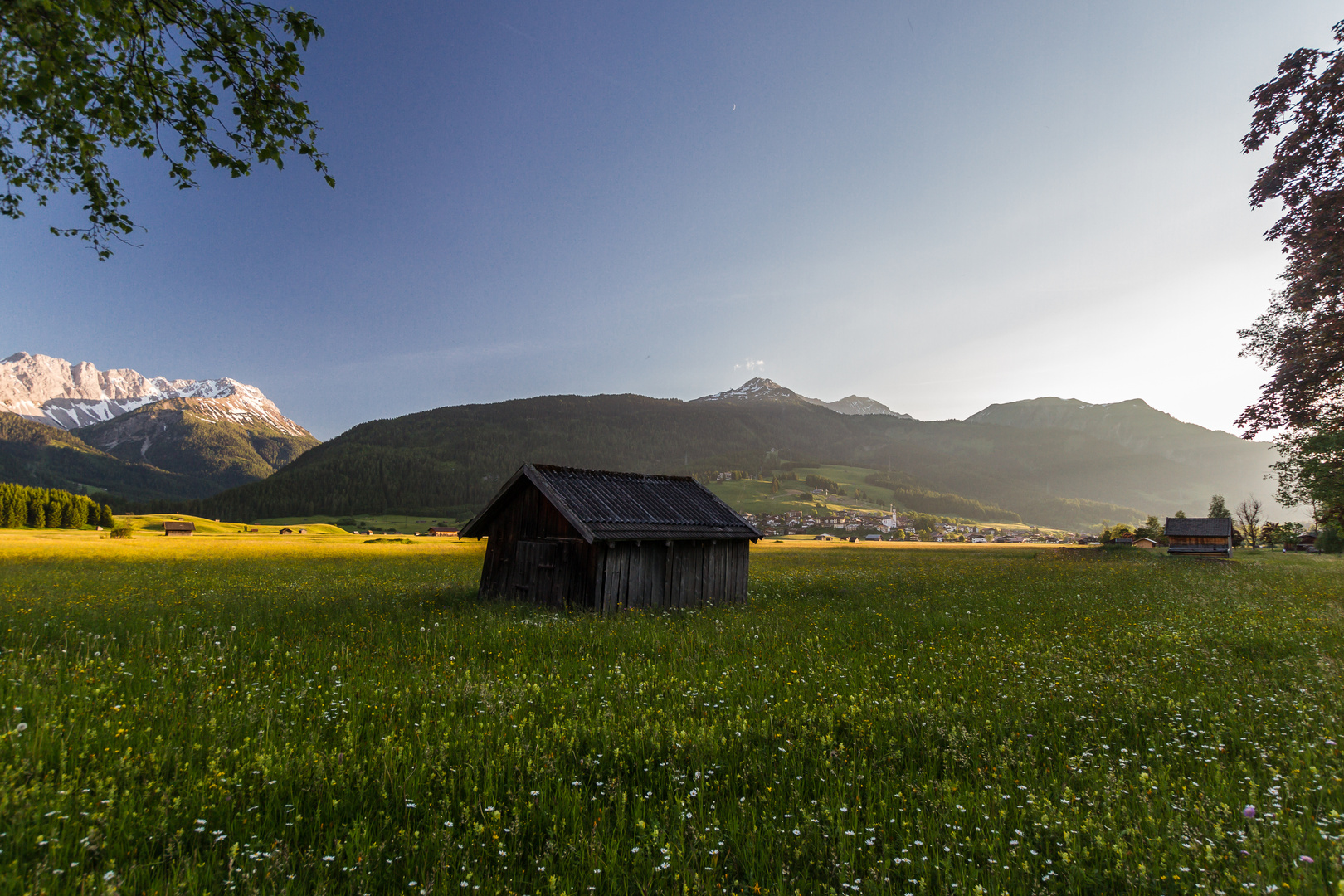 Abendstimmung im Moos