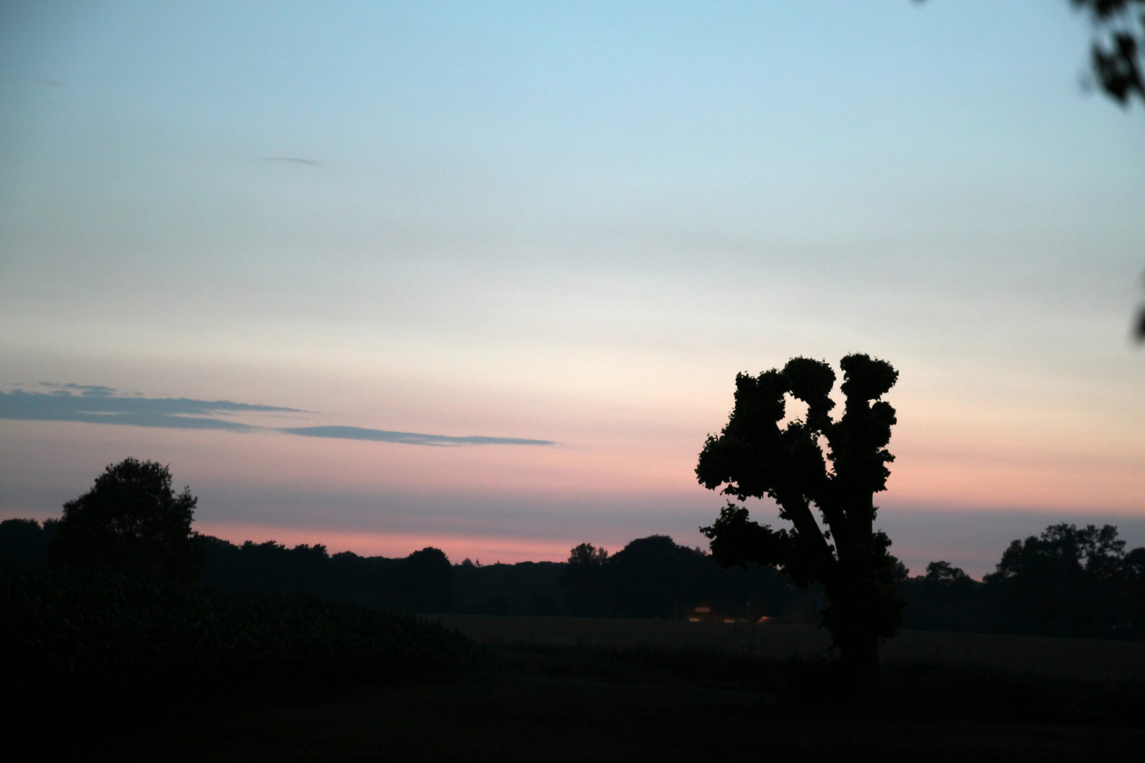 Abendstimmung im Münsterland