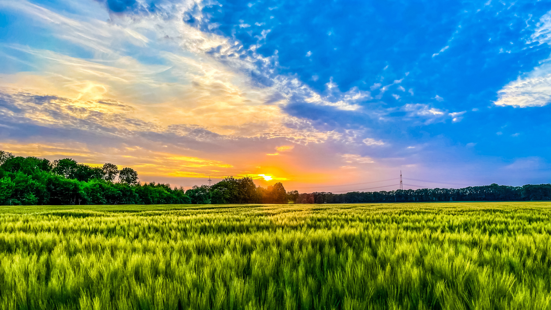 Abendstimmung im Münsterland