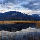 Abendstimmung im Murnauer Moos