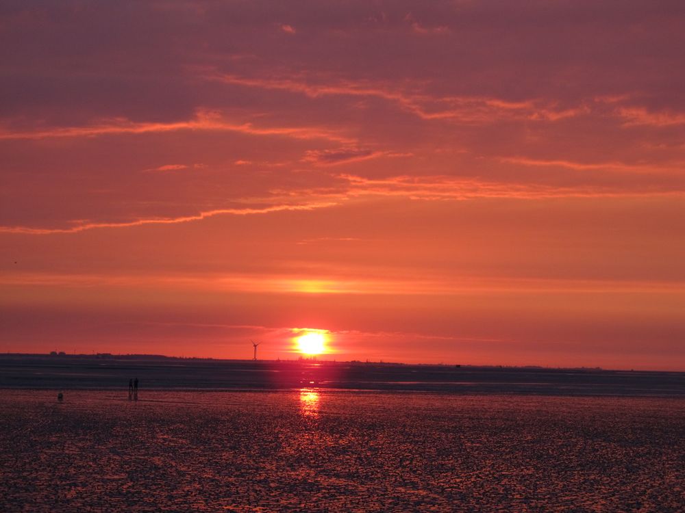 Abendstimmung im Nationalpark Wattenmeer von reppentowner 