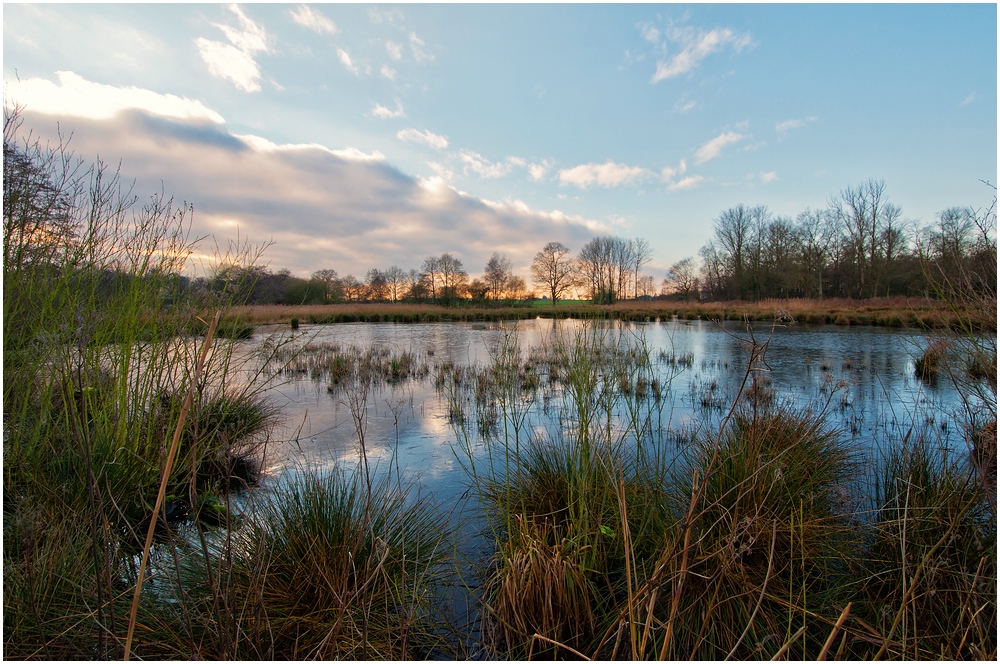 Abendstimmung im Naturpark Schwalm-Nette