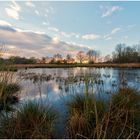 Abendstimmung im Naturpark Schwalm-Nette