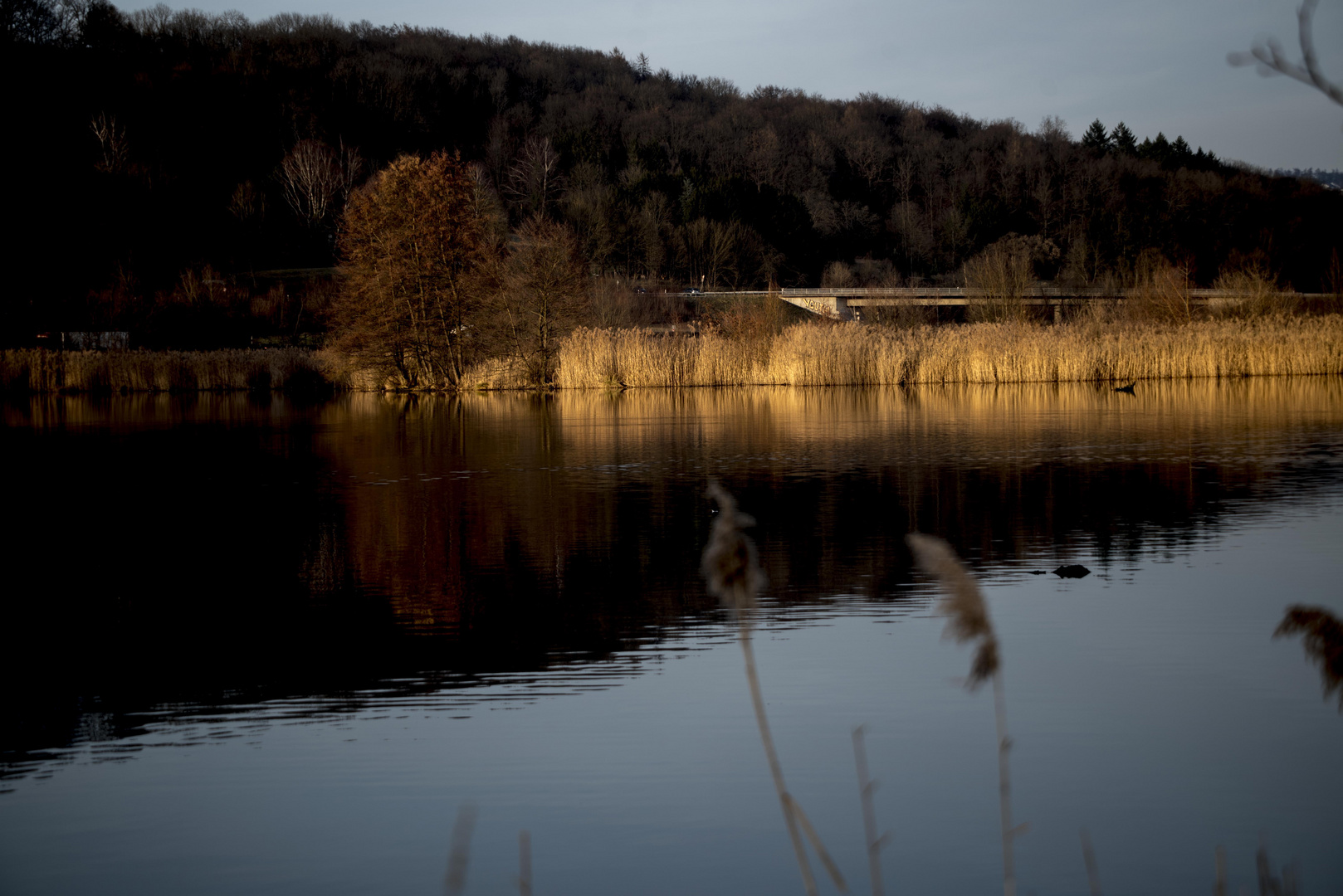 Abendstimmung im Naturschutzgebiet