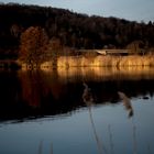 Abendstimmung im Naturschutzgebiet