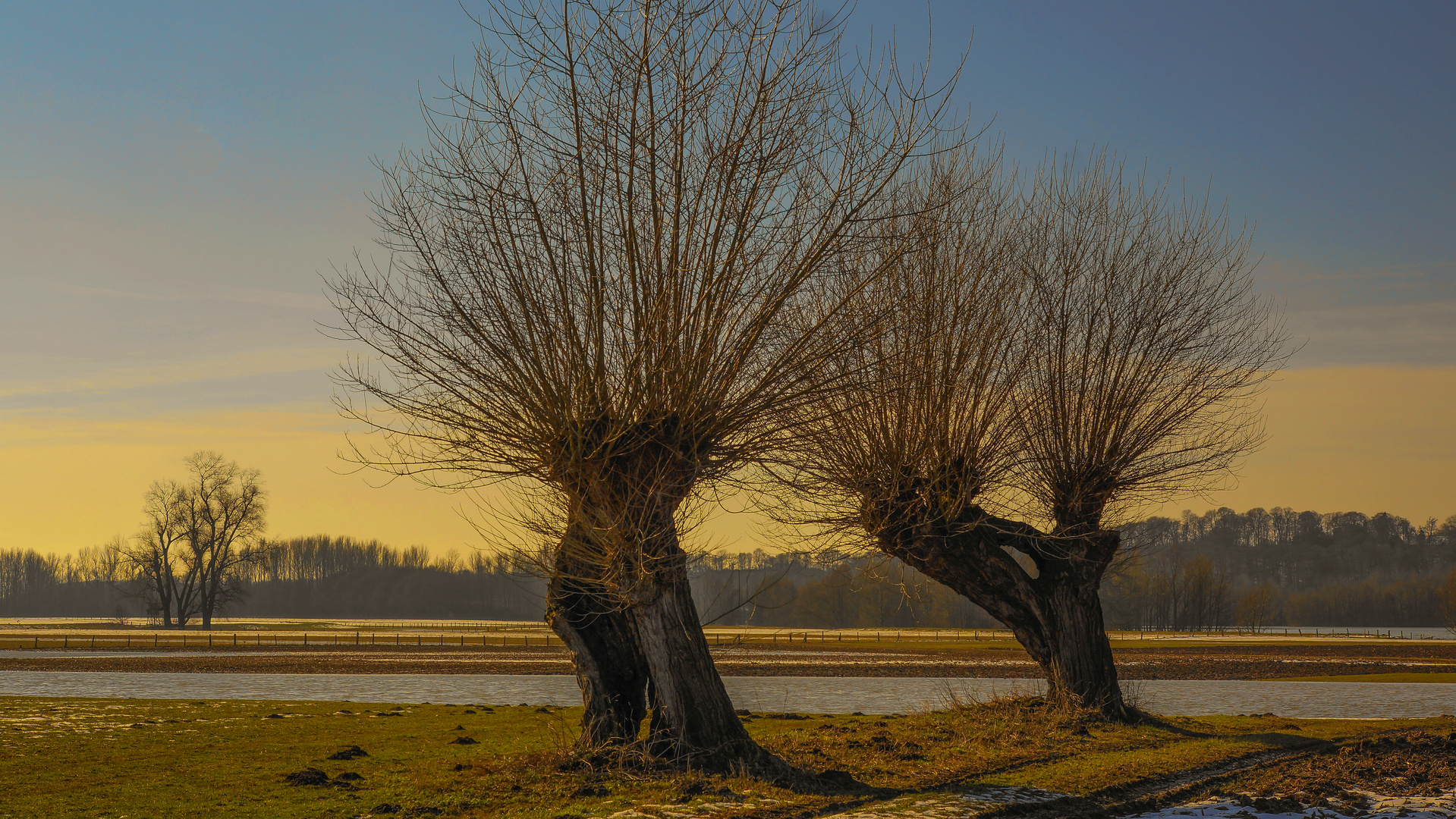 Abendstimmung im Naturschutzgebiet Bislich am Rhein