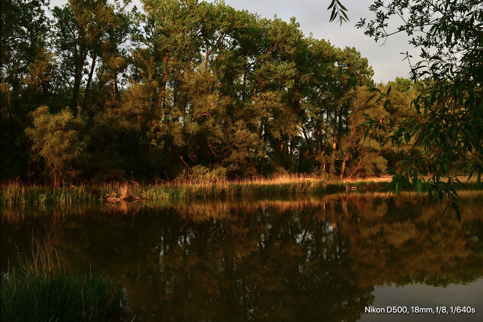 Abendstimmung im Naturschutzgebiet 