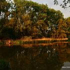 Abendstimmung im Naturschutzgebiet 