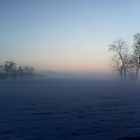 Abendstimmung im Nebel