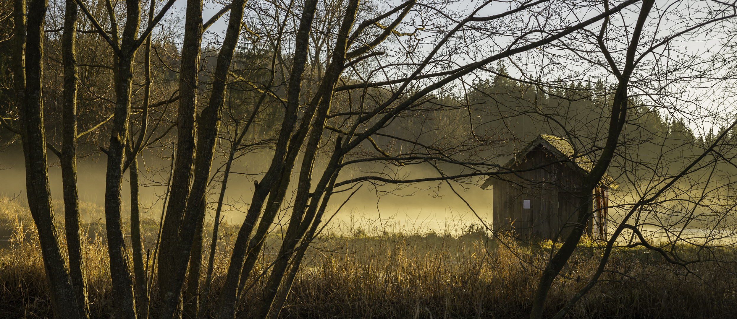 Abendstimmung im Nebel