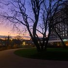 Abendstimmung im neuen Stadtgarten