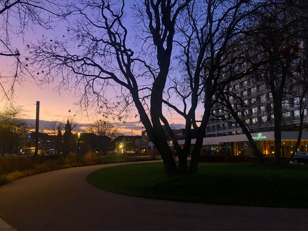 Abendstimmung im neuen Stadtgarten