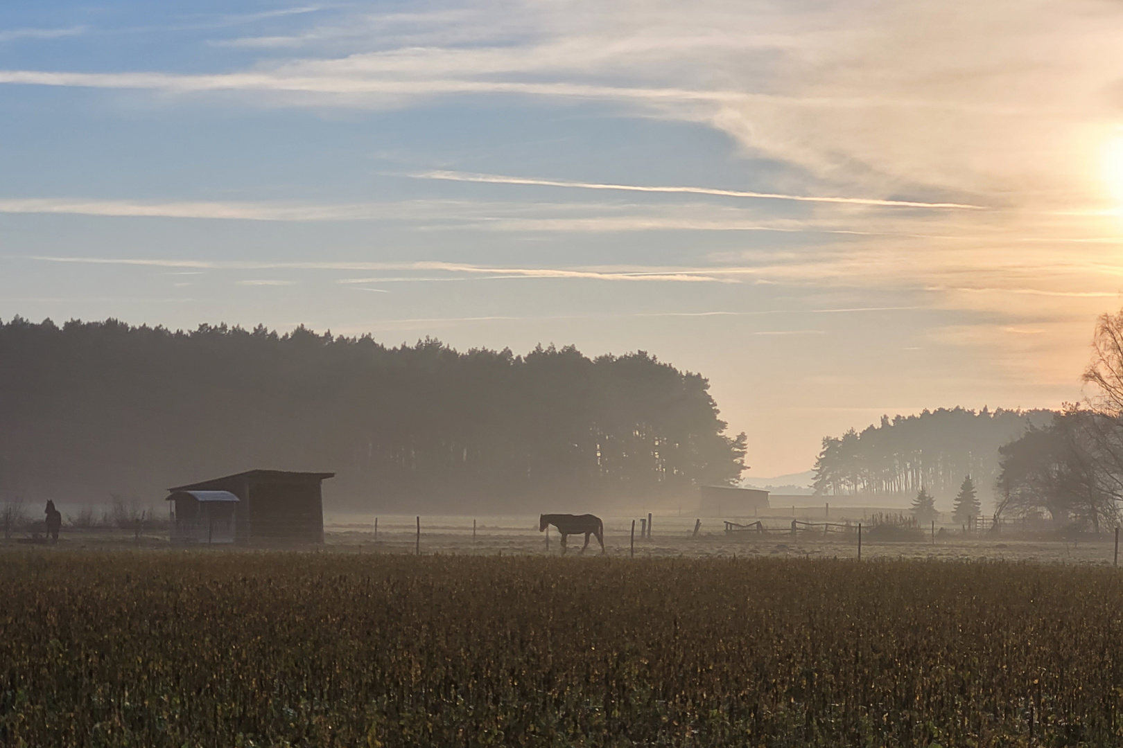 Abendstimmung im Neustädter Land