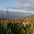 Abendstimmung im Norden Teneriffas